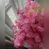 kafia_mohamed